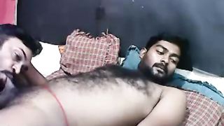 Desi Magnificent Indian Homosexual