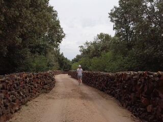 Ginger Redhead Forest Run ended in Dripping Hairy Pussy Outdoor Creampie