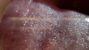 Kissing and Licking Glass Sheet