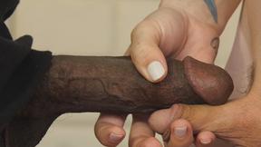 ”Blonde Lena Moon & her transgender butt gets a huge black dick”