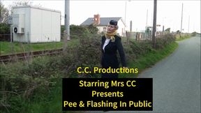 Pee & Flashing Collection in Public 1