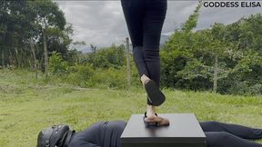 Crushing in the woods