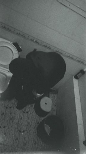 I saw everything my stepson was doing in the bathroom on the camera.   Clip 2