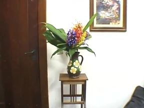 Complete anal Sex Brazilian Movie From 90s.