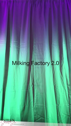 Milking Factory 2.0 (MF. 4)