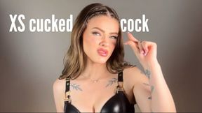 XS cucked cock
