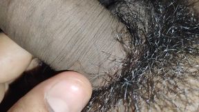 Pune desi Lund Maharashtra