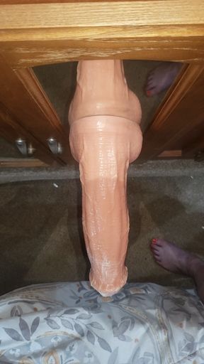Horse Cock 2