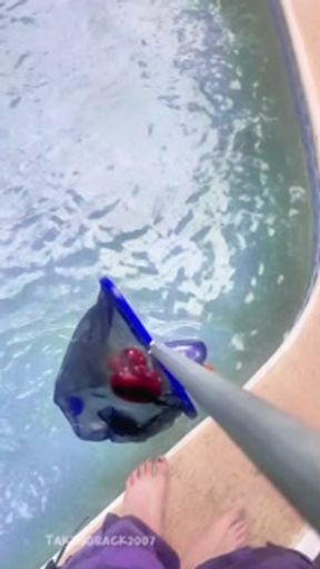 DREAM SUMMER Pool-Boy Episode