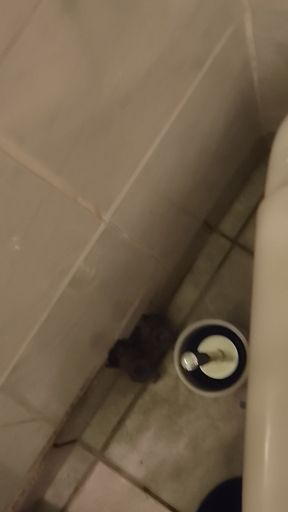 Small penis masturbates and comes to the toilet
