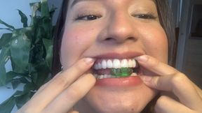 The Giantess Who Chews and Swallows Gummy Men