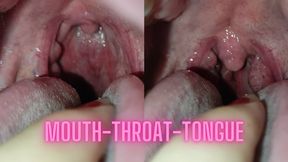 Mouth, tongue, teeth, throat exploration