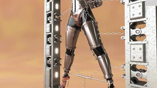 Trixy's Permanent Bondage by Lock-Master