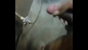 Jalandome el ganso otra ves