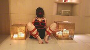 Games between couples, three types of bondage and orgasms with your girlfriend