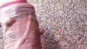 Want to have sex with sister-in-law with tattooed 8 inch penis