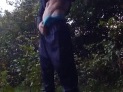 Un Pajaro en el monte