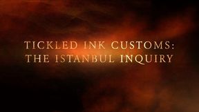 The Istanbul Inquiry (Custom) All Scenes Prieview