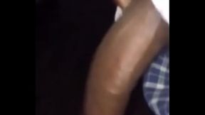 Big Black Bull Pissing Outdoor In Public