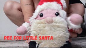 Pee for little Santa
