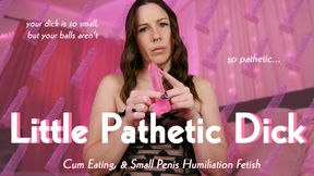 Little Pathetic Dick