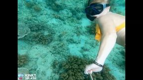 Snorkel Slut: Tight Bikini, Dive Mask & Underwater Fin Tease - WMV