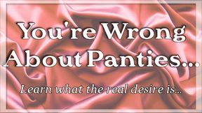 You re Wrong About Panties