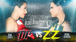 in DP vs. ZZ Feud