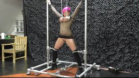 Nova Pink - Breast Hanging Predicament Challenge live in Public in our Studio - Full Clip mp4 HD