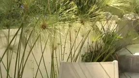 Brown-haired hornstress Victory Phoenix gets her full pussy pounded by BBC