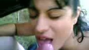 Saucy Greek tourist girl sucks and titfucks my fat hairy cock