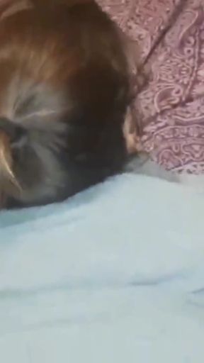 Big Black Cock Pounding Me Hard and Deep Moaning Doggy