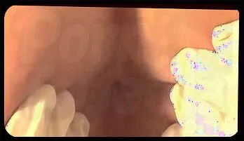 Tattooed Twink Jesse Jacobs Deepthroat & Anal Fuck popular videos