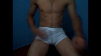 Gatinho.Bissex-PR