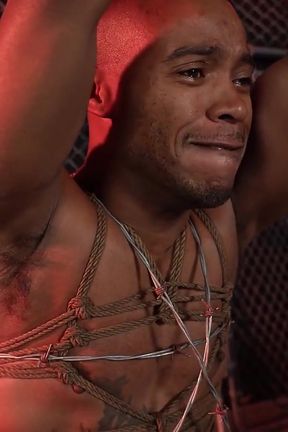 Good Little Mouse: Davin Strong and Jake Waters