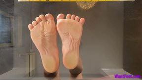 Wrinkled Soles on Glass - Soles - HD MP4