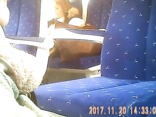 good dickflash train