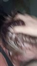 ELIZABETH QUEENS STIRS DADDY'S RAGE WITH WILD BLOWJOB