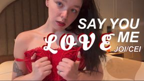Say You Love Me: JOI/CEI