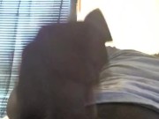 Thug Black Teen Masturbating Big Black Cock Until It Cums