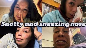 Snotty and sneezing nose