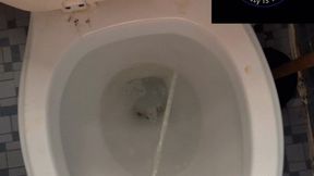 Peeing with Master2