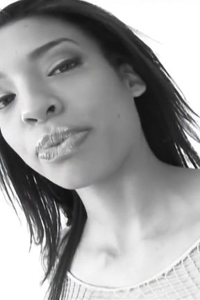 The Birds Fly in My Ass