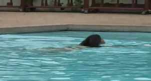 2 sexy Latina's presenting latex fetish in the pool and on the beach