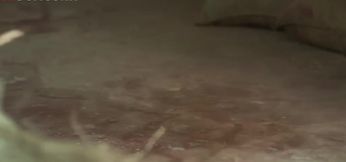 Bhabi Ki Tight Chut Ki Seal Todi Bhabi Ko Banai Ghodi - Yorgelis Carrillo