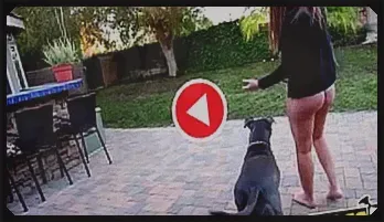 Maddy O'Reilly Interracial Anal Thrill with Moe Johnson