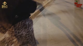 I'm lost in a foreign city and a handsome couple helps me out | PUBLIC DOUBLE BJ