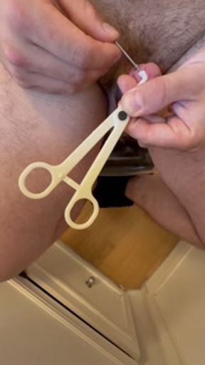 I’m getting a piercing for the first time Prince Albert part 1.