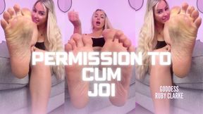 Desperate Footboys Permission To CUM