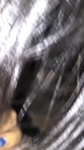 Only sucking 96   Clip 1